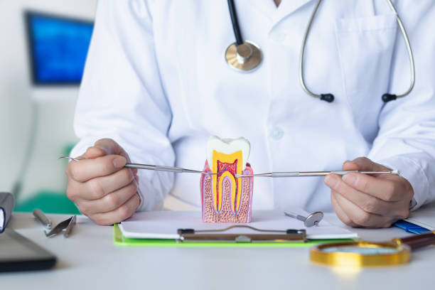 Best Orthodontic Emergency Dentist in Auburn Hills, MI
